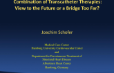 Combination of Transcatheter Therapies: View to the Future or a Bridge Too Far?