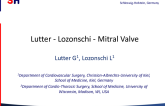 Lutter Valve