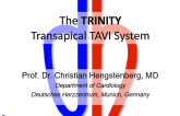 The Trinity (TA) TAVR System
