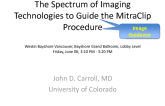 The Spectrum of Imaging Technologies to Guide the MitraClip Procedure