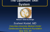 The Thubikar TAVR System
