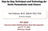 Step-by-Step  Techniques and Technology for Aortic Paravalvular Leak Closure (with Case Examples)