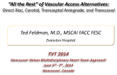All the Rest of Vascular Access Alternatives: Direct Iliac, Carotid, Transseptal (Antegrade), and Transcaval