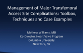 Management of Major Transfemoral Access Site Complications: Toolbox, Techniques, and Case Examples