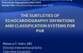 The Subtleties of Echocardiography Definitions and Classification Systems for PVR
