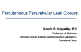 An Overview of Paravalvular Leak Closure: Indications, Techniques, and Outcomes