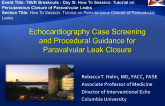 Echocardiography Case Screening and Procedural Guidance for Paravalvular Leak Closure