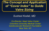 The Concept and Application of Cover Index to Guide Valve Sizing