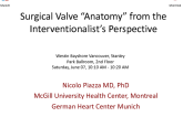 Surgical Valve Anatomy from the Interventionalists Perspective