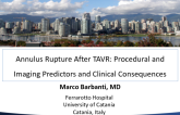 Annulus Rupture After TAVR: Procedural and Imaging Predictors and Clinical Consequences