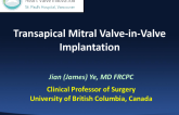 Transapical Mitral Valve-in-Valve