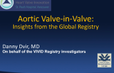 Important Lessons from the Global Valve-in-Valve (VIVID) Registry