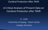 A Critical Analysis of Present Data on Cerebral Protection after TAVR