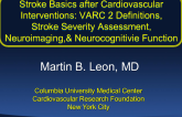 Stroke Basics after Cardiovascular Interventions: VARC 2 Definitions, Stroke Severity Assessment, Neuroimaging, and Neurocognitive Function