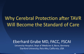 Why Cerebral Protection after TAVR Will Become the Standard of Care