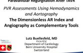 PVR Assessments Using Hemodynamics and Aortography: The Dimensionless AR Index and Angiography as Complementary Tools