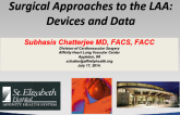 Surgical Approaches to the LAA: Devices and Data