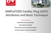 AMPLATZER Cardiac Plug (ACP):Attributes and Basic Technique