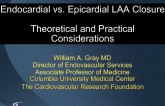 Endocardial vs_ Epicardial LAA Closure: Theoretical and Practical Considerations