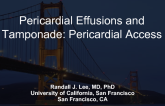 Pericardial Effusions and Tamponade: Pericardial Access