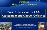 Basic Echo Views for LAA Assessment and Closure Guidance