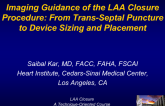 Imaging Guidance of the LAA Closure Procedure: From Trans-Septal Puncture to Device Sizing and Placement