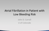 Atrial Fibrillation in Patient with Low Bleeding Risk