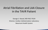 Afib and LAA Closure in the TAVR Patient