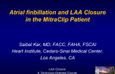 Atrial finbillation and LAA Closure in the MitraClip Patient