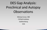 DES Gap Analysis: Preclinical and Autopsy Observations