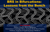 BRS in Bifurcations: Lessons from the Bench