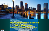 The Bioresorbable Scaffold BRS in Diabetes