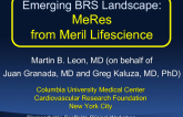 Emerging BRS Landscape: MeRes from Meril Lifescience