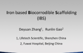 Iron based Biocorrodible Scaffolding (IBS)
