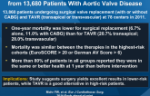 The German Aortic Valve Registry: 1-year Results from 13,680 Patients With Aortic Valve Disease