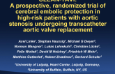 CLEAN-TAVI: A Prospective, Randomized Trial of Cerebral Embolic Protection in High-Risk Patients with Aortic Stenosis Undergoing Transcatheter Aortic Valve Replacement