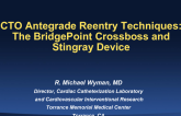 The Bridgepoint CrossBoss and Stingray Device