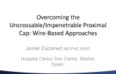 Overcoming the Uncrossable/Impenetrable Proximal Cap: Wire-Based Approaches