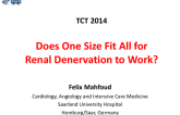 Does One Size Fit All for Renal Denervation to Work? From Symplicity to Complexity