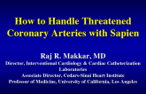 Case #9. How to Handle Threatened Coronary Arteries with Sapien