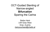 Case #1: Bifurcation Stenting