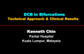 Bifurcations: Technical Approach and Clinical Results