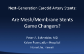 Next-Generation Carotid Artery Stents: Are Mesh/Membrane Stents Game Changers?