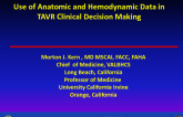 Cardiologist's Perspective: How I Use the Anatomical and Hemodynamic Data in TAVR Clinical Decision Making