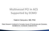 Multivessel PCI in ACS Supported by ECMO