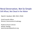 Negatory: There are Logical Reasons for Why Renal Artery Denervation Failed in SIMPLICITY HTN-3!