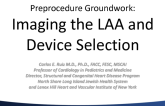 Preprocedure Groundwork: Imaging the LAA and Device Selection