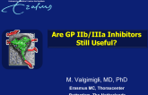 Are GP IIb/IIIa Inhibitors Still Useful?