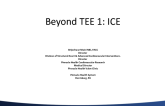 Beyond TEE 1: ICE