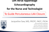 Left Atrial Appendage Echocardiography for the Nurse and Technologist